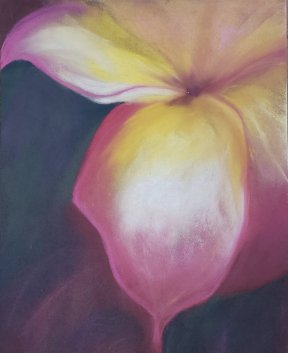 "Calla" 24x30 cm, Pastellkreide, 150 Euro