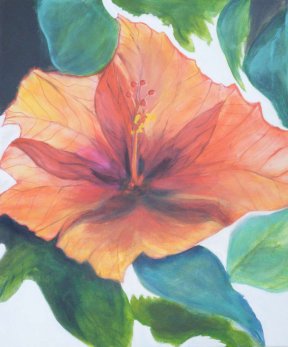 "Hibiskus" 50x60 cm, 250 Euro