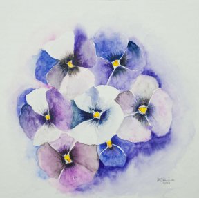 "Hornveilchen" 25 x 25 cm Aquarell, 70 Euro