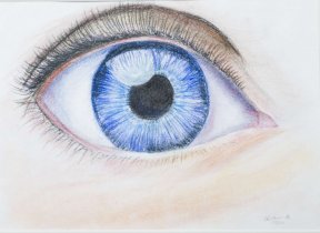 "Auge" 20 x 30 cm Pastellkreide,
unverkäuflich