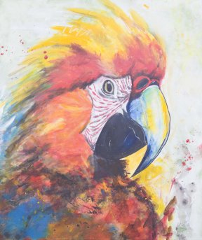 "Papagei", 50x70 cm, Acryl, 250 Euro