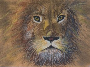 "Löwe", 30x40 cm, Pastellkreide,
210 Euro