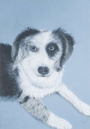 "Emma" 29 x 42 Pastellkreide,
unverkäuflich